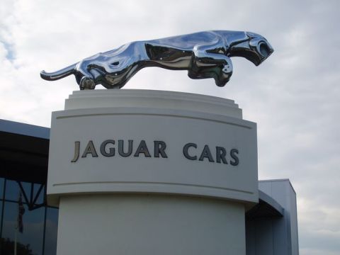 jaguar