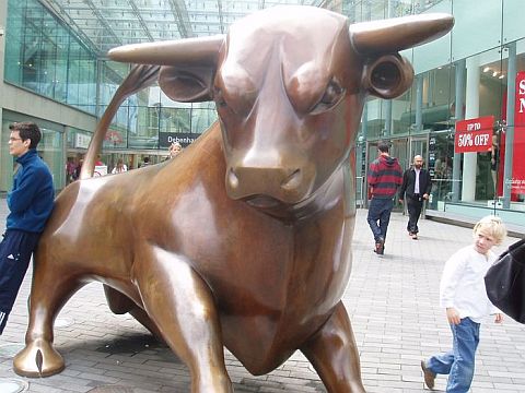 bull ring