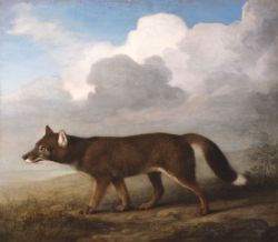 a aa