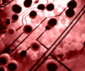 DNA awantura