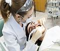 Polscy dentyci poszukiwani