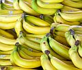 Heroina z bananami sensacj w Lidlu