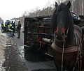 Daily Mail znalaz kolejny wietny temat