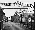 Brytyczycy wylecz kaca w Auschwitz