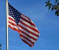 Brytyjczycy bd mniej ulegli wobec USA