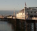 Festiwalowe Brighton