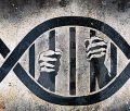 Polski wamywacz skazany dziki DNA