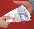 UK: Jeden zasiek zastpi wszystkie