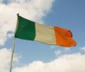 Bd przedterminowe wybory w Irlandii
