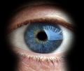 UK: Ostrzejsze kary dla stalkerw
