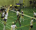 Polonia IMKA London w finaach Playoff ligi Super8