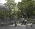 UK: Niedwied Wojtek bdzie mia swj pomnik
