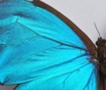 Najciekawsze wydarzenia kulturalne
