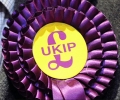 UKIP paci imigrantom za roznoszenie antyimigracyjnych ulotek