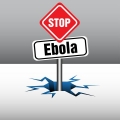 Wirus Ebola w kocu dotrze do Londynu 