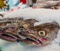 (nie)wiee ryby w brytyjskich marketach