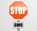 Docz do protestu przeciwko GMO w PL