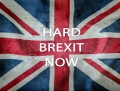 Brytyjski biznes ostrzega przed Brexitem bez umowy
