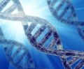 Felieton: Czowiek GMO