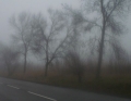 Meteorolodzy ostrzegaj przed gst mg