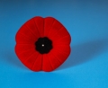 Obchody setnej rocznicy Remembrance Day