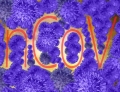 Newham: testy nowej aplikajcji do ledzenia zaraonych