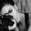 violettaphotography