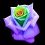 RockRose