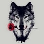 oblivion_aleks