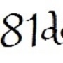 81design