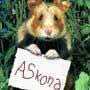 ASkona