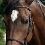 Eriska