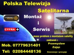 Polska Telewizja Satelitarna