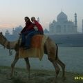 Na wielbladzie o wschodzie slonca przed Taj Mahal w Agrze