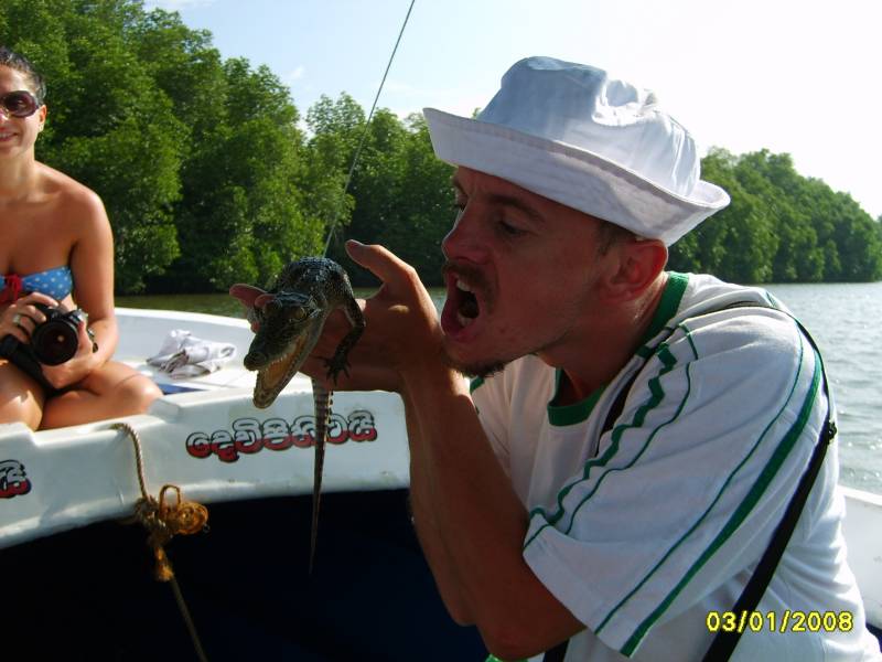 Baby croco
