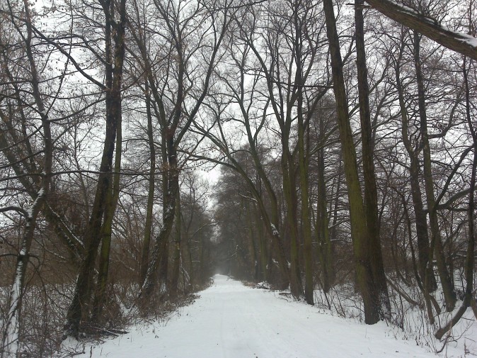 zima 