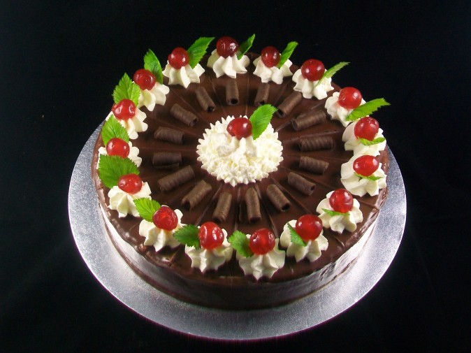 Tort Fale Dunaju