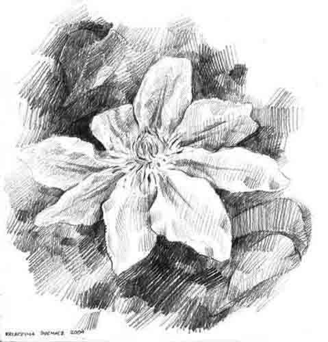 powj