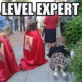 level expert