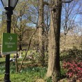 Wiosna w Central Parku.