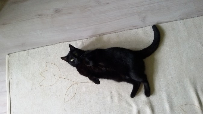 Boni