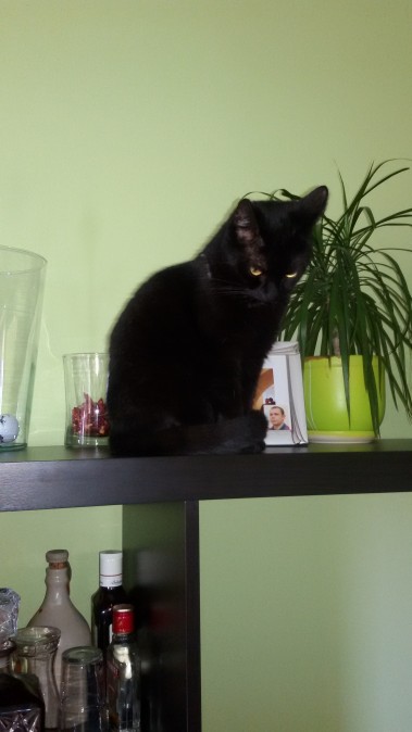 Boni