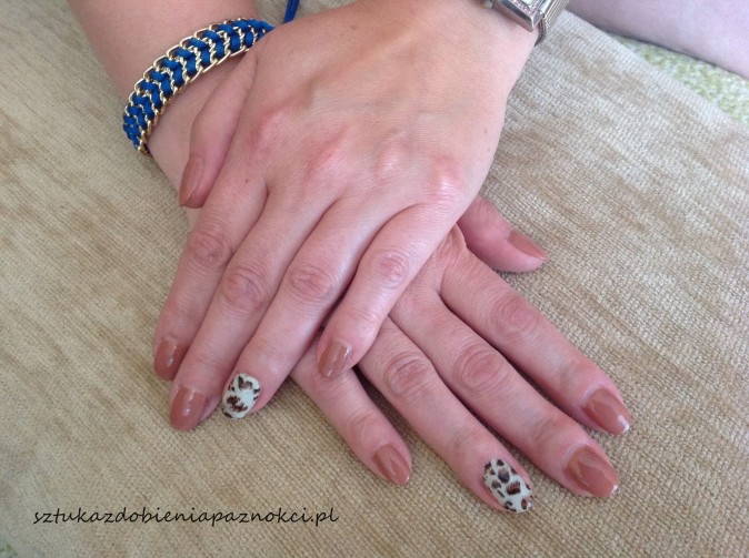 Promocja shellac 9.99