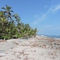 park tayrona, colombia