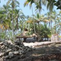 park tayrona, colombia