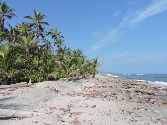 park tayrona, colombia