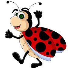 Biedronka007