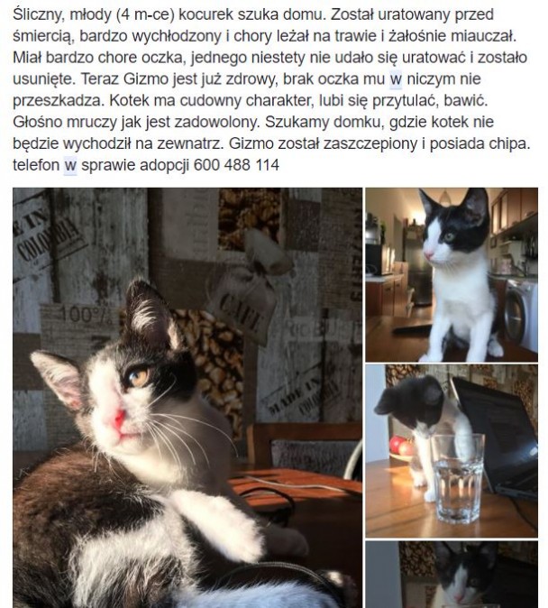 Bez tytuu