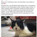 Bez tytuu