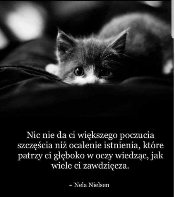 Bez tytuu